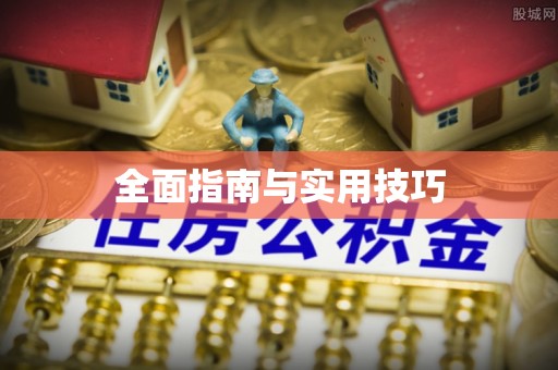 大丰全面指南与实用技巧