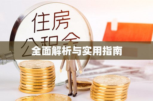 大丰全面解析与实用指南