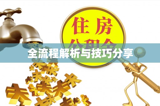 大丰全流程解析与技巧分享