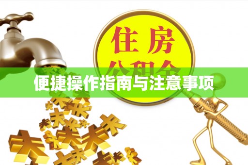 大丰便捷操作指南与注意事项